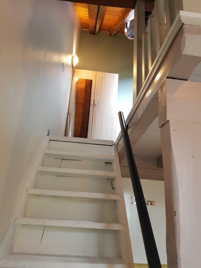 Studio Duplex Place De La Grenette سالونش المظهر الخارجي الصورة